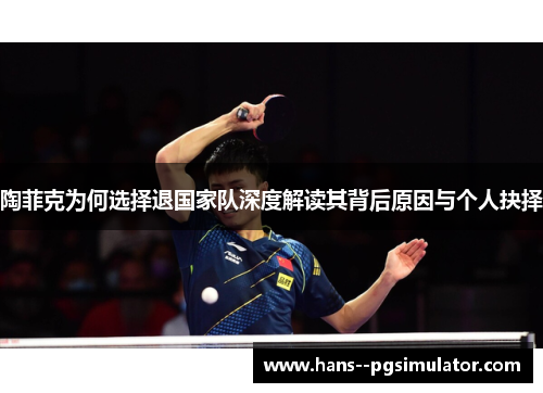 陶菲克为何选择退国家队深度解读其背后原因与个人抉择