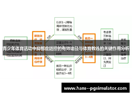 青少年体育活动中抑郁症防控的有效途径与体育教练的关键作用分析