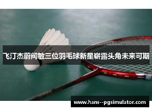 飞汀杰蔚阀敏三位羽毛球新星崭露头角未来可期