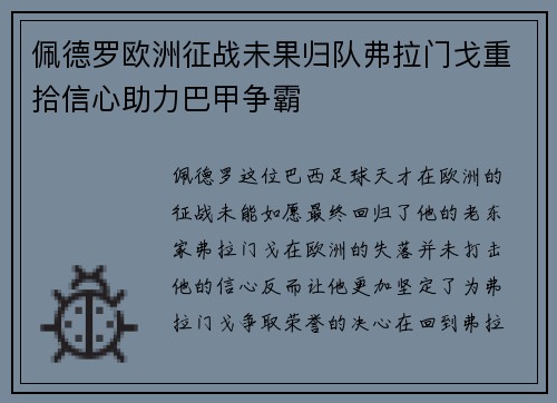 佩德罗欧洲征战未果归队弗拉门戈重拾信心助力巴甲争霸